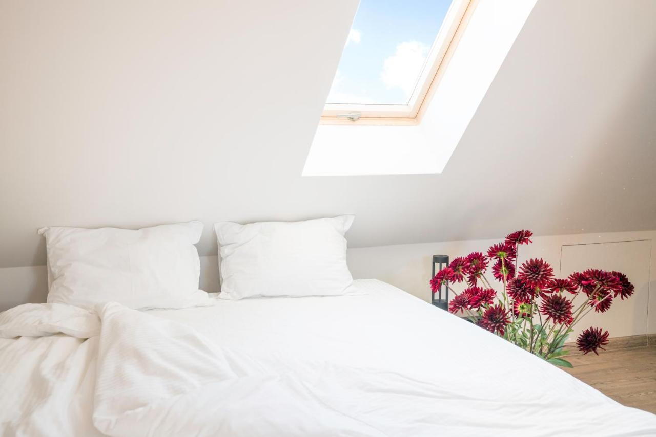 Casa Daca Boutique Hotel 키시나우 외부 사진